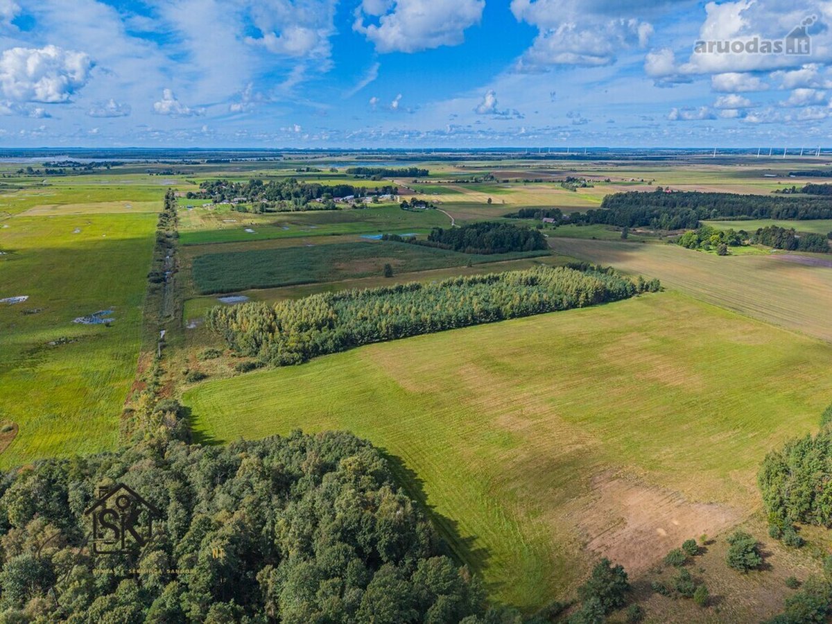 Parduodamas 3.8000 Ha Žemės Sklypas Šilutės R - nuotraukos Nr. 6