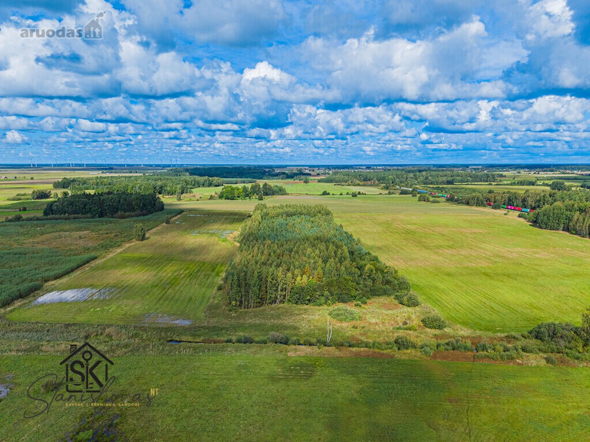Parduodamas 3.8000 Ha Žemės Sklypas Šilutės R - nuotraukos Nr. 8