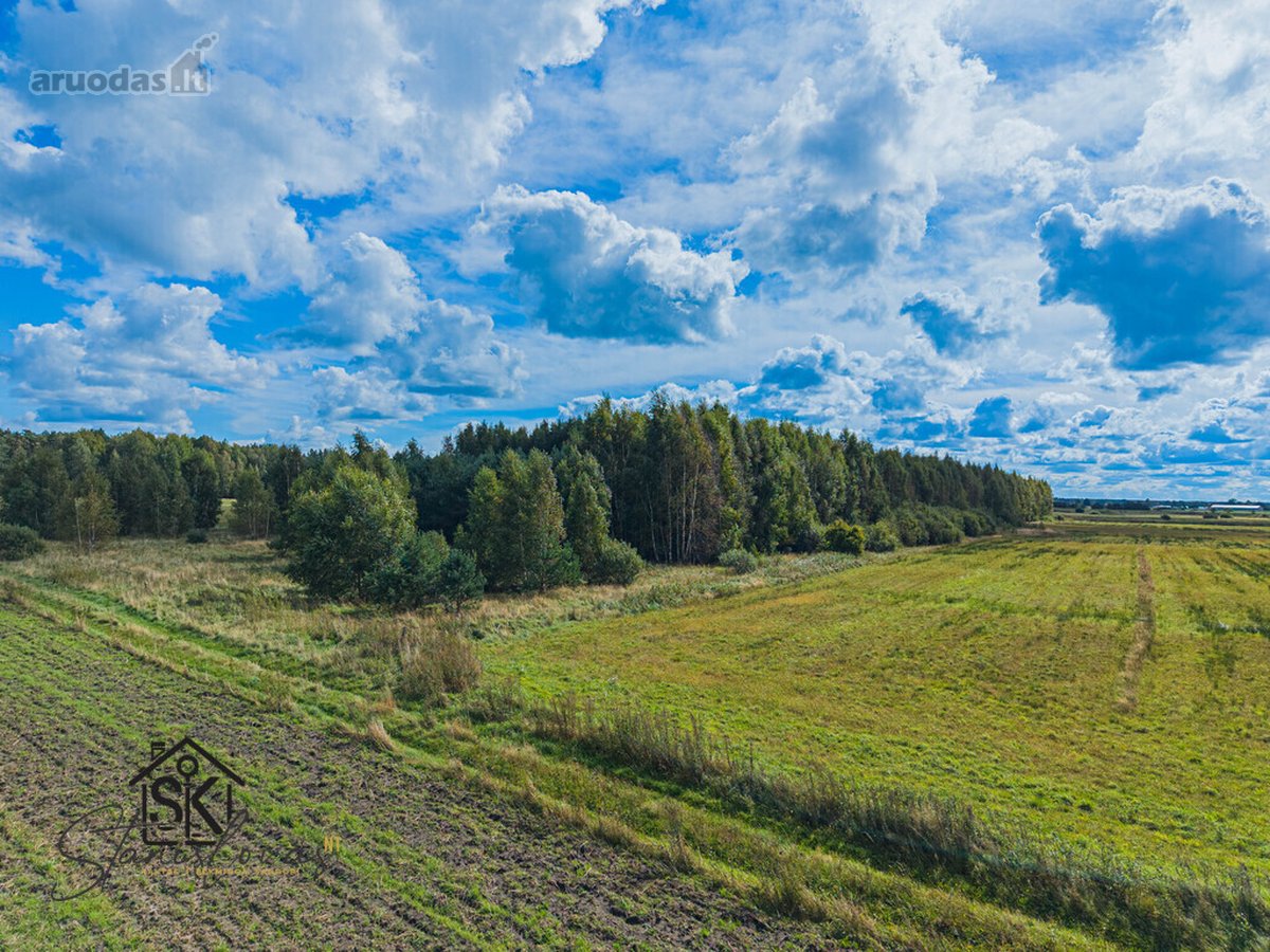 Parduodamas 3.8000 Ha Žemės Sklypas Šilutės R - nuotraukos Nr. 10