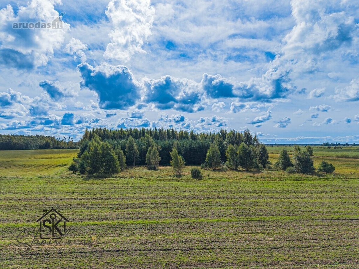 Parduodamas 3.8000 Ha Žemės Sklypas Šilutės R - nuotraukos Nr. 11