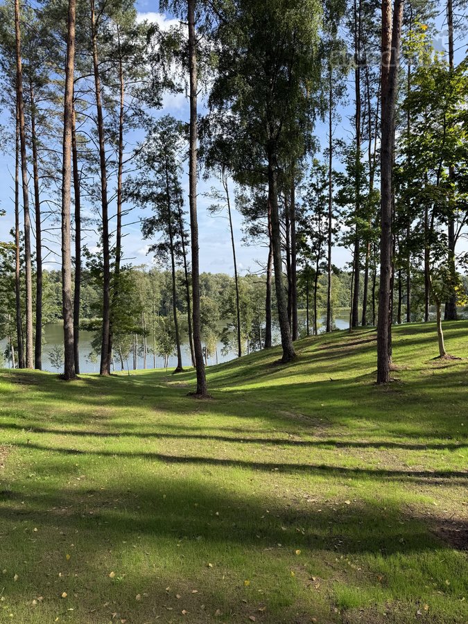 Parduodami žemės sklypai šalia Druskininkų - nuotraukos Nr. 4