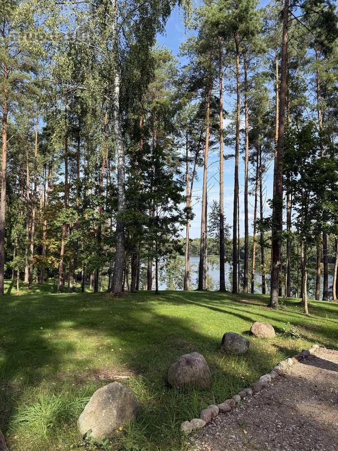 Parduodami žemės sklypai šalia Druskininkų - nuotraukos Nr. 6