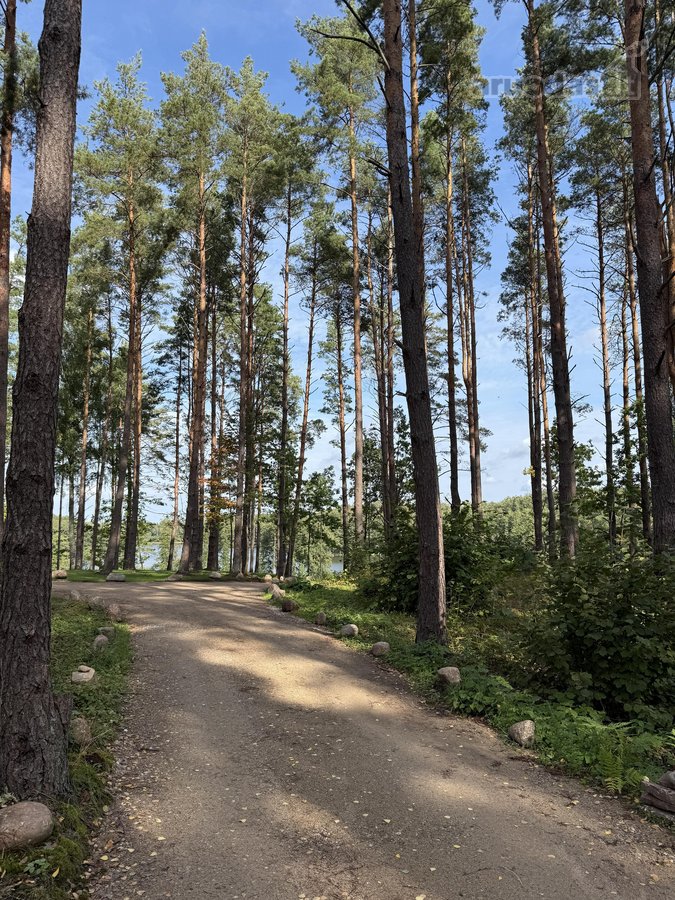 Parduodami žemės sklypai šalia Druskininkų - nuotraukos Nr. 8