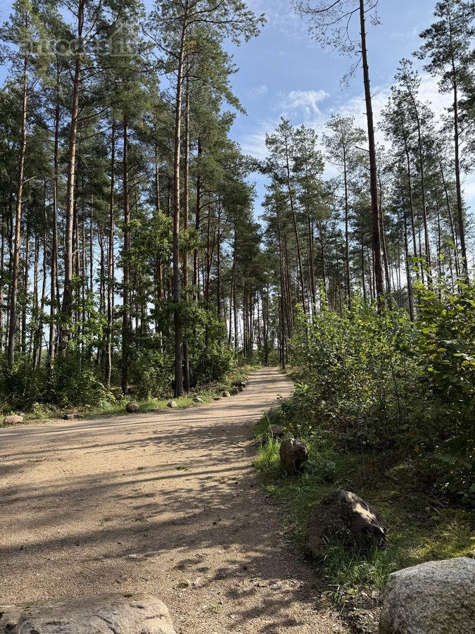Parduodami žemės sklypai šalia Druskininkų - nuotraukos Nr. 9