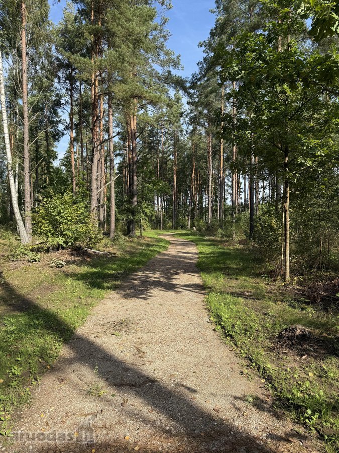 Parduodami žemės sklypai šalia Druskininkų - nuotraukos Nr. 10