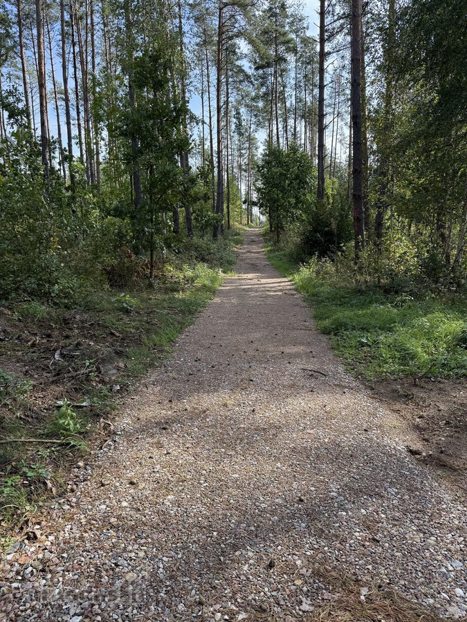 Parduodami žemės sklypai šalia Druskininkų - nuotraukos Nr. 11
