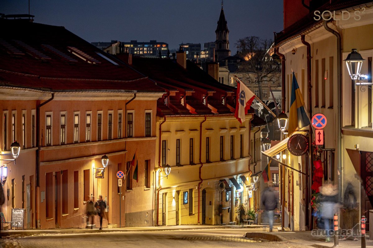 Žaliojoje Užupio dalyje, kur pro langus - nuotraukos Nr. 23