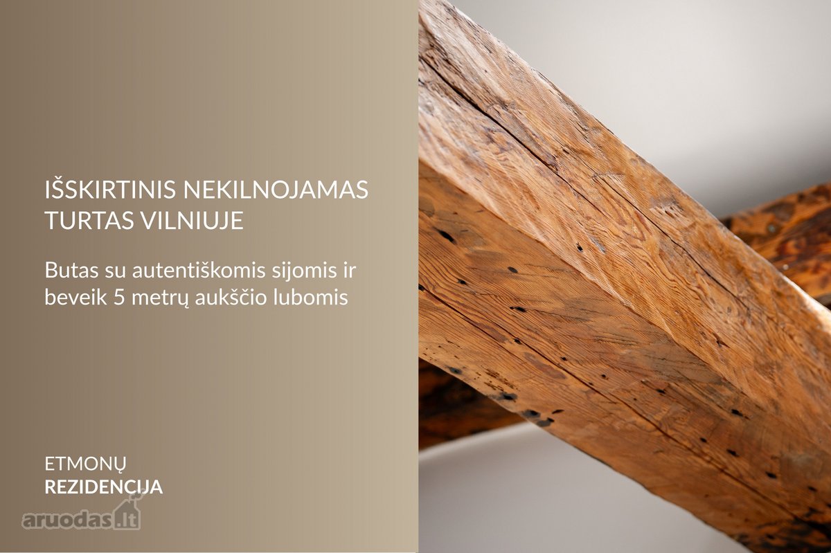 Beveik Penkių Metrų Aukštis, Autentiškos - nuotraukos Nr. 25
