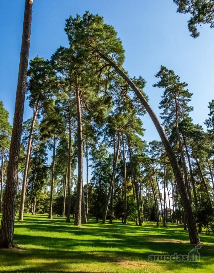Išskirtinis Namas Kulautuvoje – Klasika, - nuotraukos Nr. 17