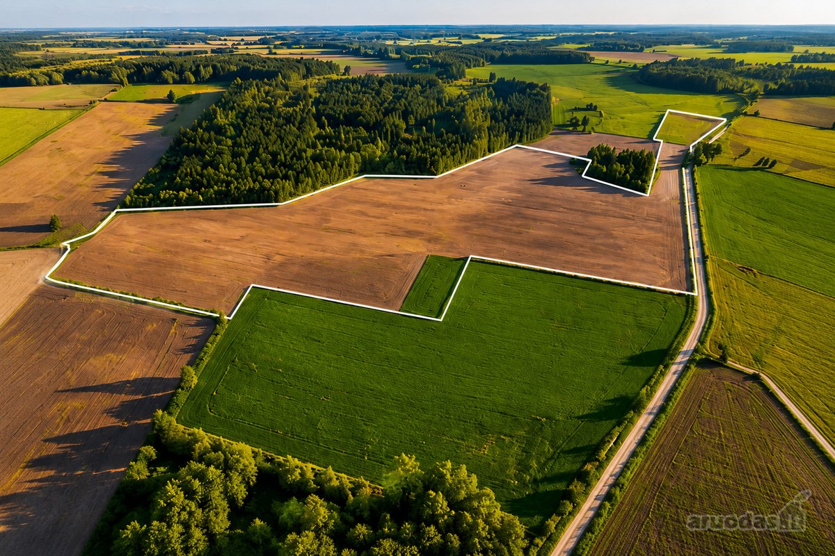 Parduodamas 45,2615 ha žemės ūkio - nuotraukos Nr. 2