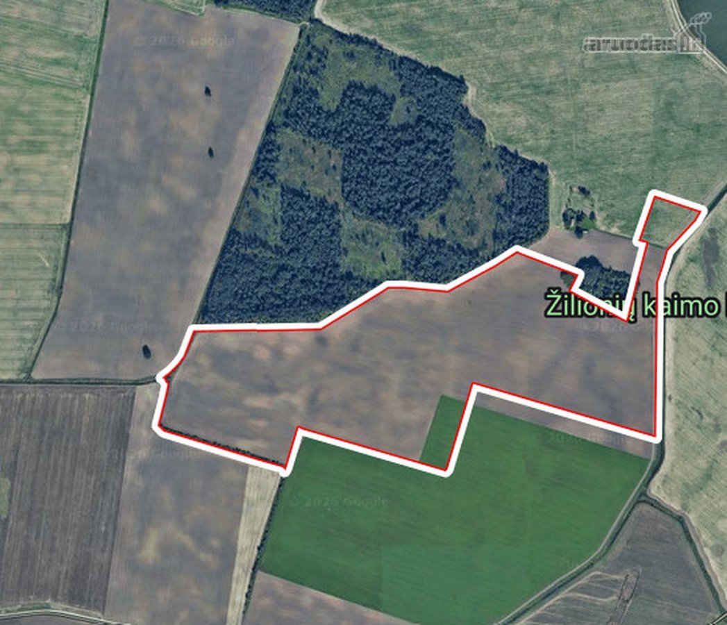 Parduodamas 45,2615 ha žemės ūkio - nuotraukos Nr. 3