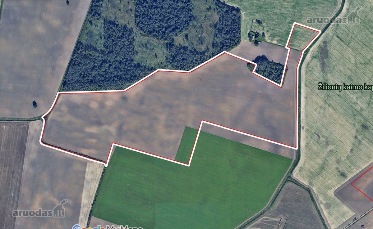 Parduodamas 45,2615 ha žemės ūkio - nuotraukos Nr. 4