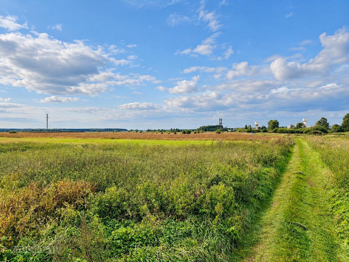 Parduodamas 40,29 arų žemės ūkio paskirties - nuotraukos Nr. 5