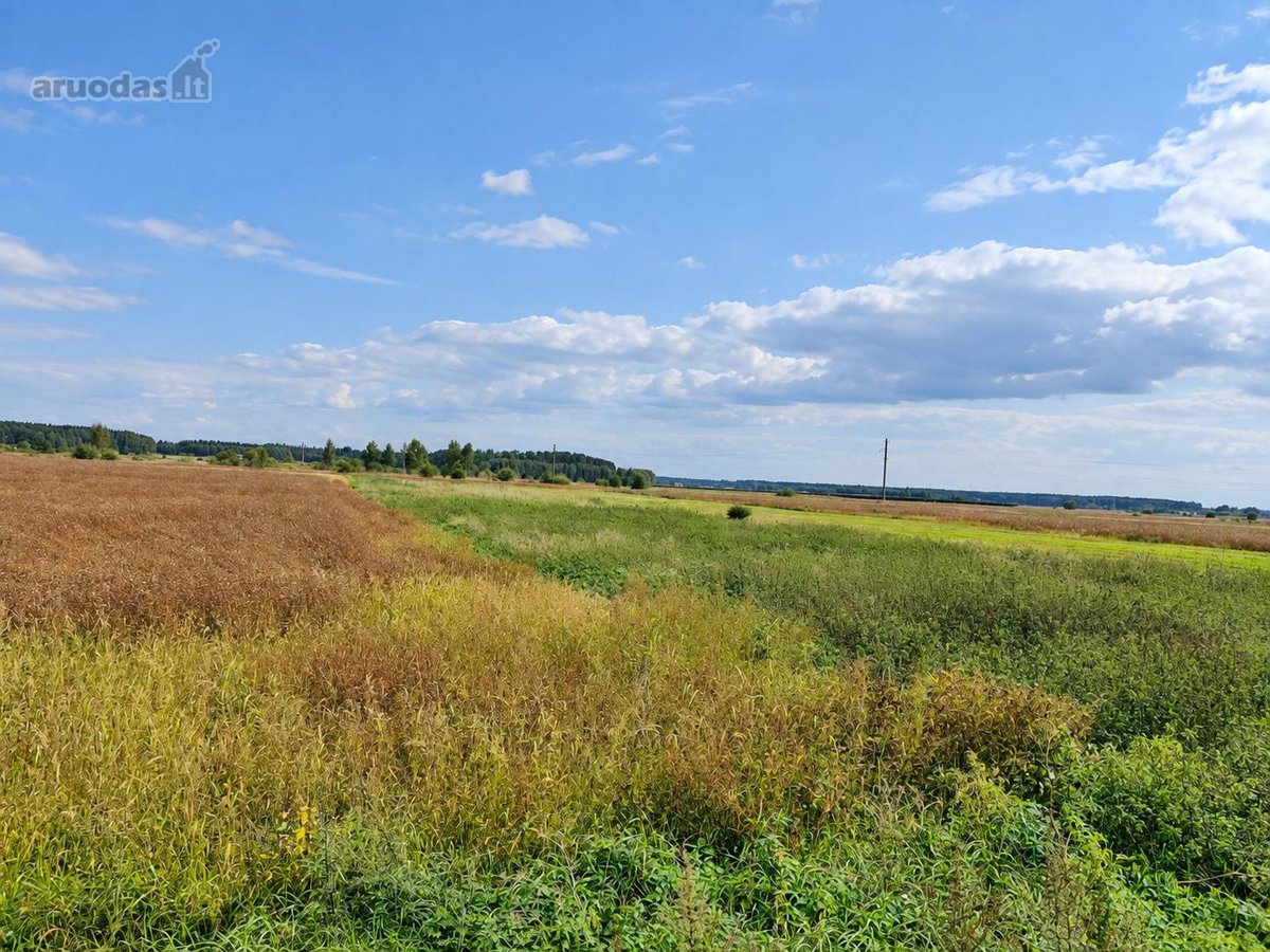 Parduodamas 40,29 arų žemės ūkio paskirties - nuotraukos Nr. 6