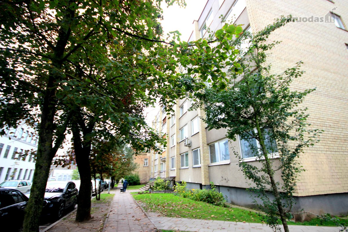 Puikioje, ramioje vietoje, Naujamiestyje, - nuotraukos Nr. 14