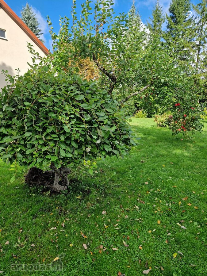 Išskirtinė Sodyba Žutautuose – Atnaujintas - nuotraukos Nr. 25