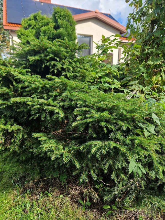 Išskirtinė Sodyba Žutautuose – Atnaujintas - nuotraukos Nr. 30