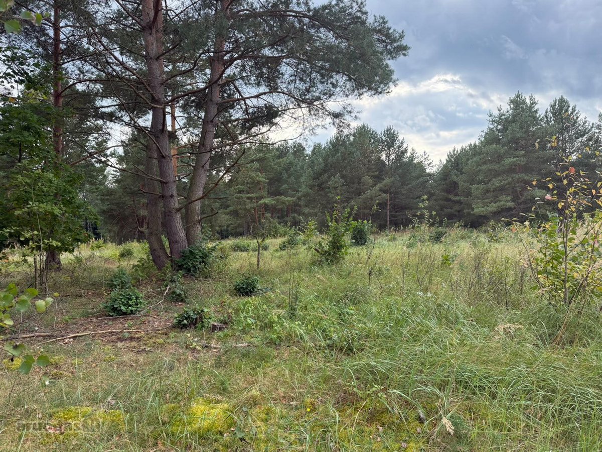 Naujas ~130 m² namas Druskininkuose – - nuotraukos Nr. 6