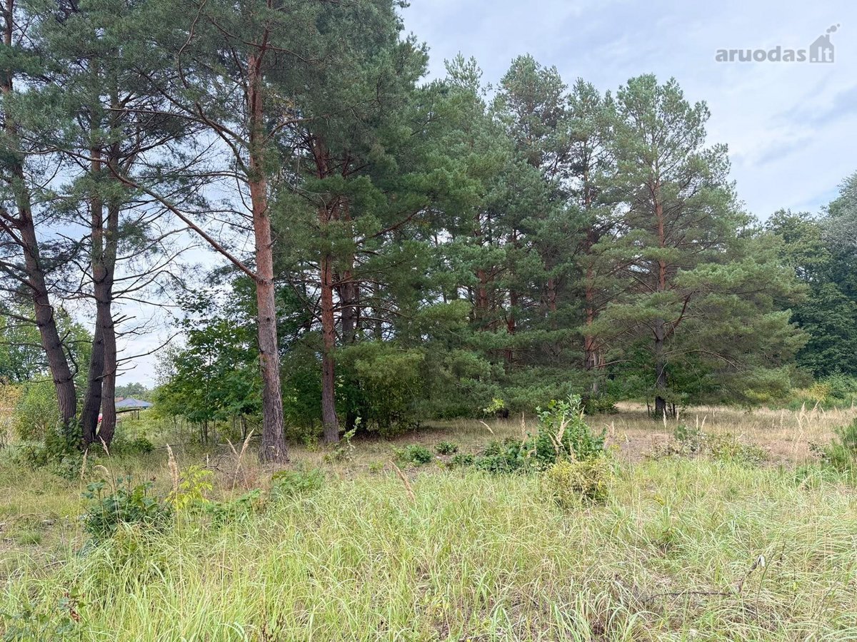 Naujas ~130 m² namas Druskininkuose – - nuotraukos Nr. 11