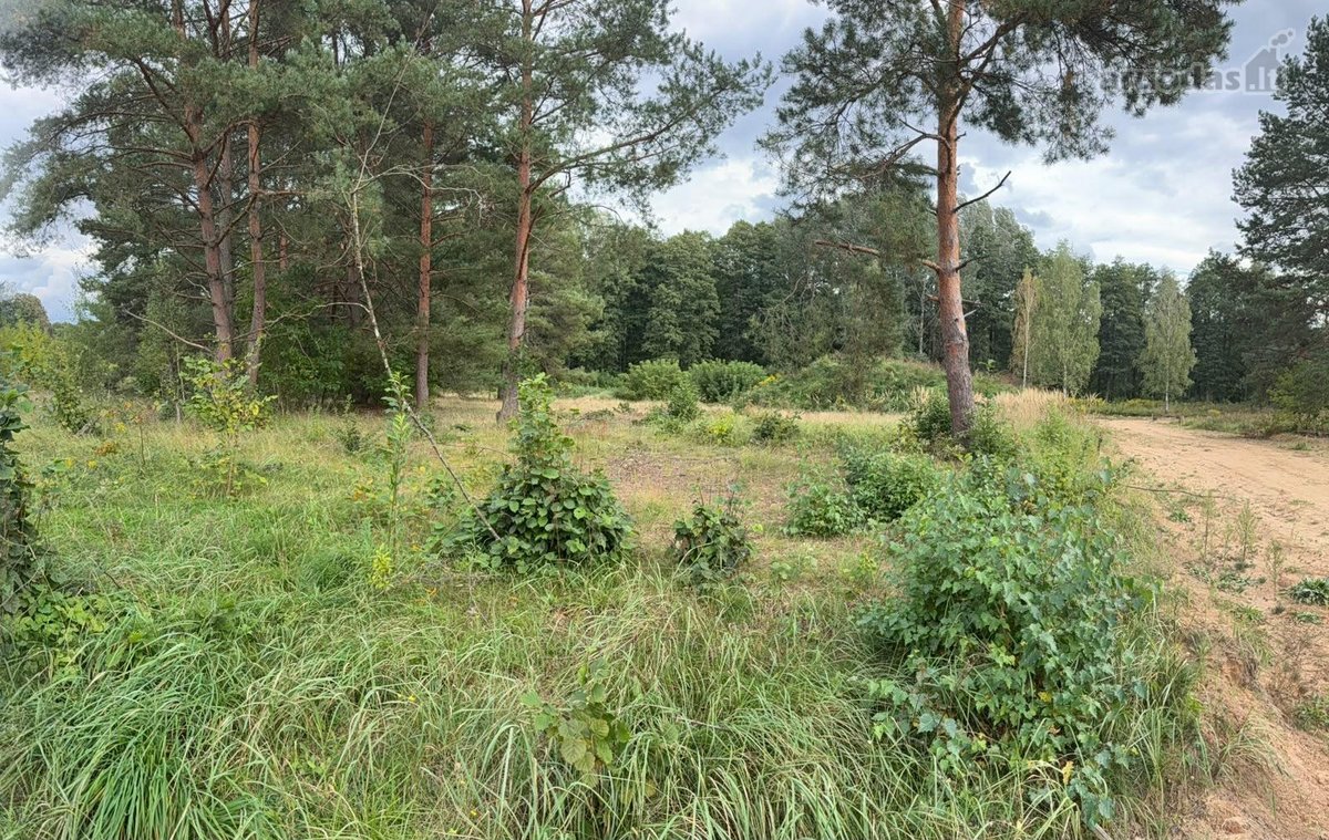 Naujas ~130 m² namas Druskininkuose – - nuotraukos Nr. 13