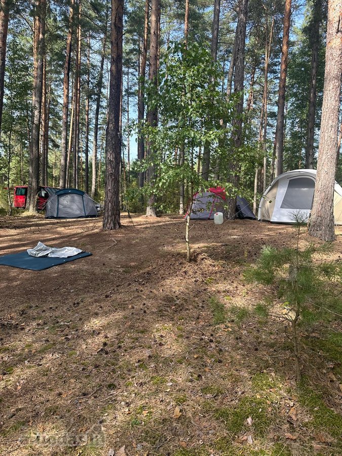 Parduodamas isskirtinis sklypas ant ezero - nuotraukos Nr. 9