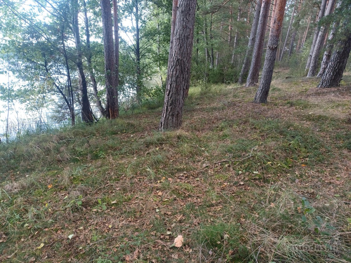 Parduodamas isskirtinis sklypas ant ezero - nuotraukos Nr. 11