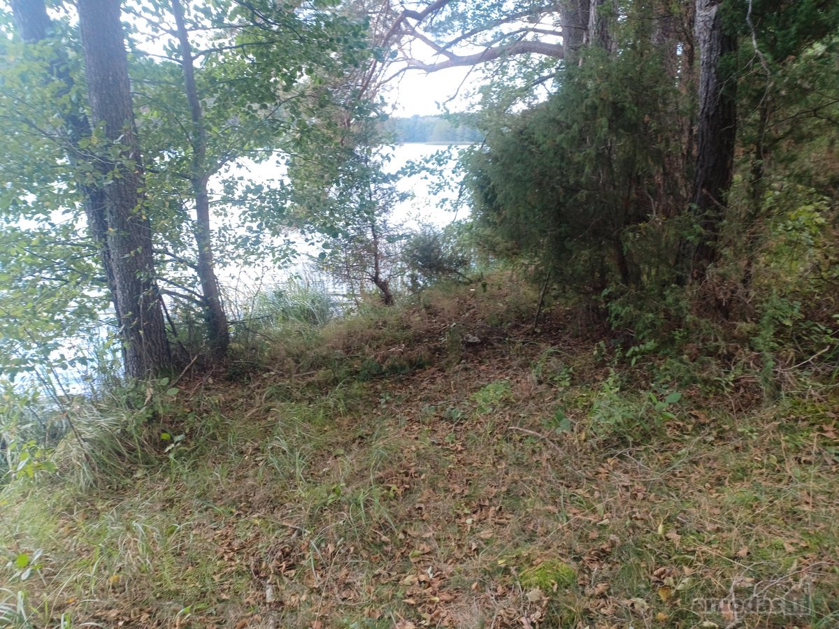 Parduodamas isskirtinis sklypas ant ezero - nuotraukos Nr. 18