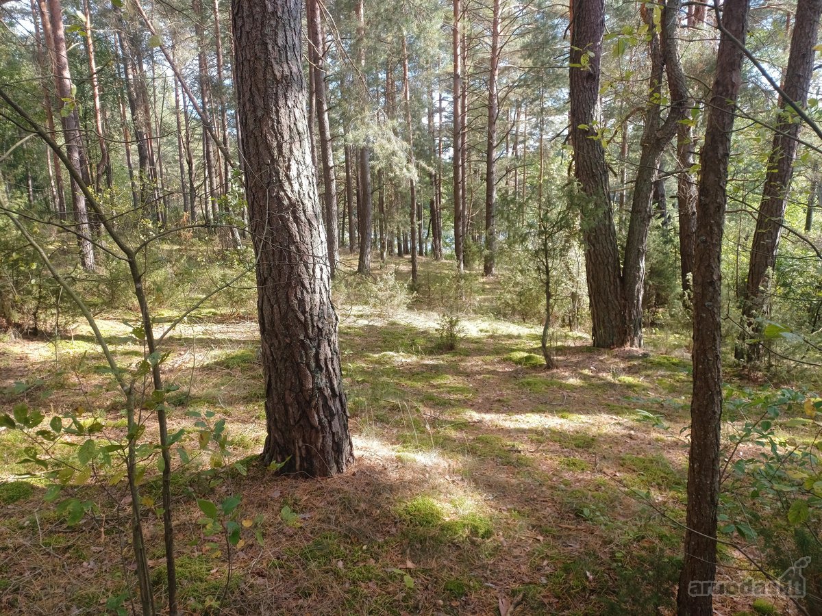 Parduodamas isskirtinis sklypas ant ezero - nuotraukos Nr. 22