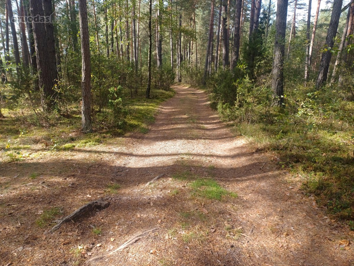 Parduodamas isskirtinis sklypas ant ezero - nuotraukos Nr. 19