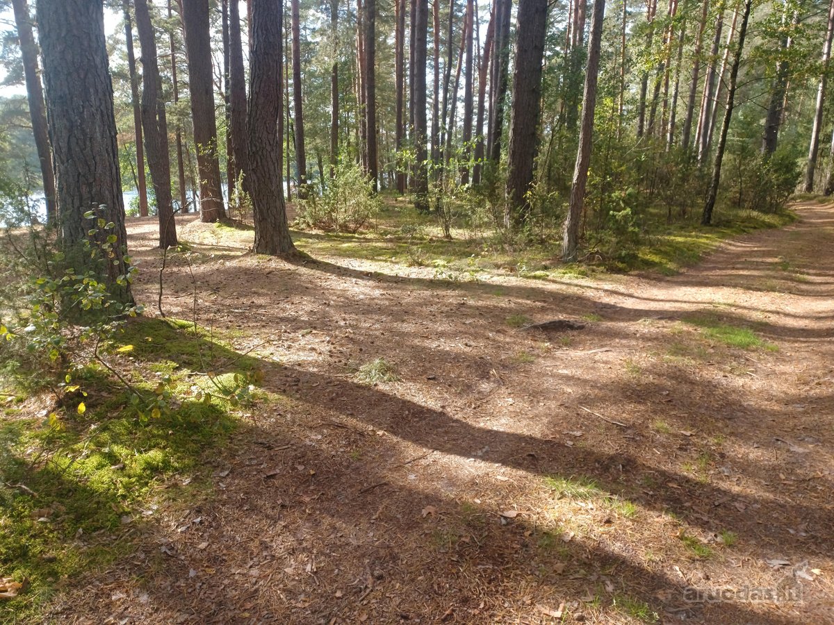 Parduodamas isskirtinis sklypas ant ezero - nuotraukos Nr. 13