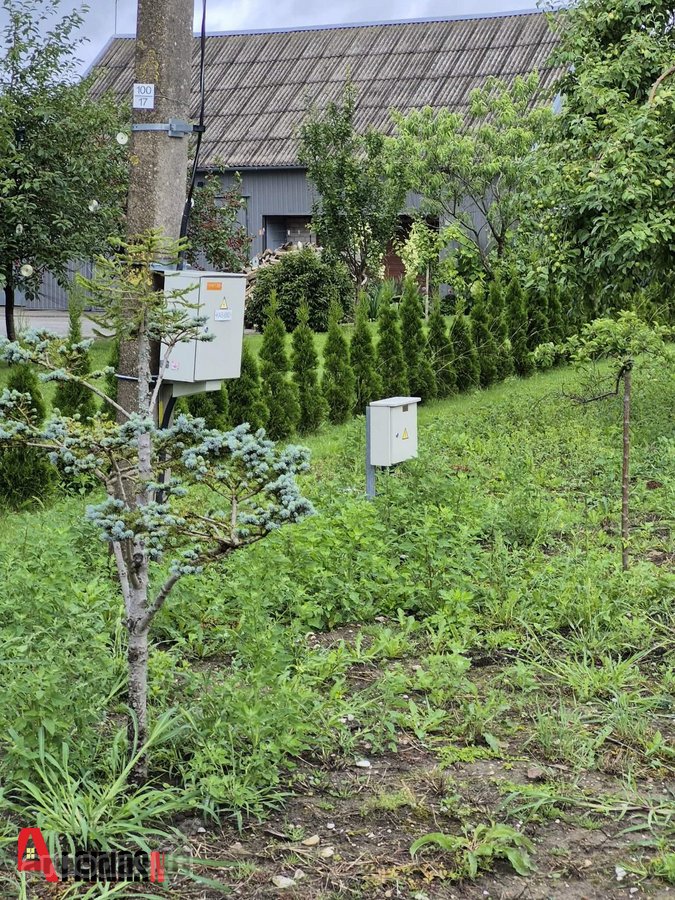 Rubulių k., netoli Kretingos miesto, Žalioji - nuotraukos Nr. 2