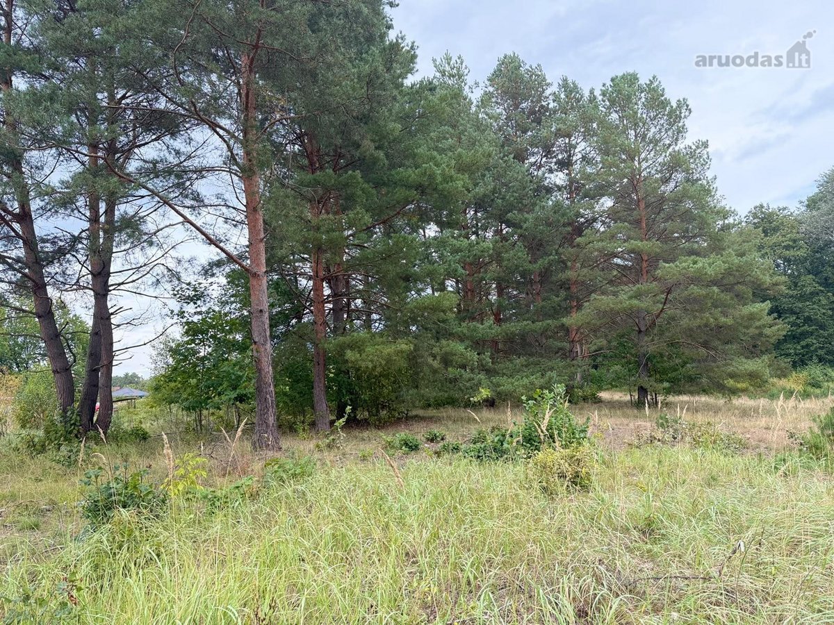 Erdvus ~156 m² naujas namas Druskininkuose – - nuotraukos Nr. 15