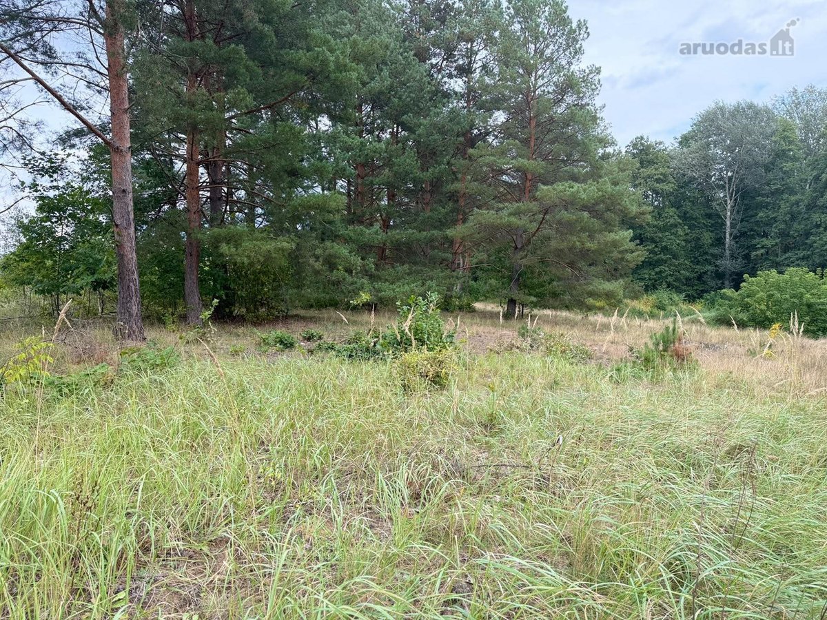 Erdvus ~156 m² naujas namas Druskininkuose – - nuotraukos Nr. 16