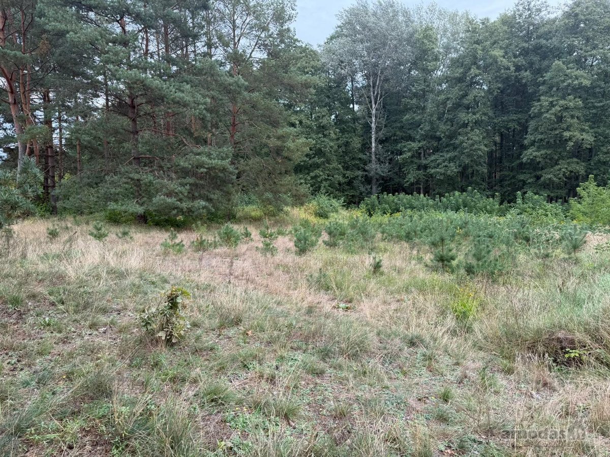 Erdvus ~156 m² naujas namas Druskininkuose – - nuotraukos Nr. 17
