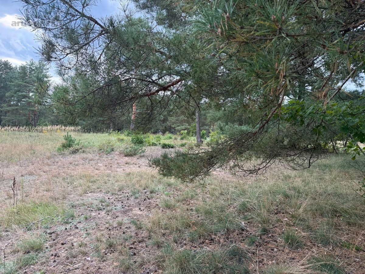 Erdvus ~156 m² naujas namas Druskininkuose – - nuotraukos Nr. 18
