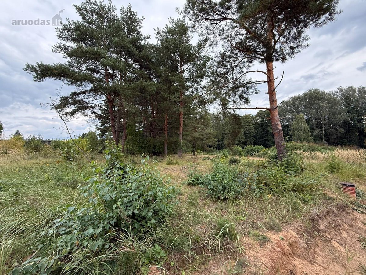 Erdvus ~156 m² naujas namas Druskininkuose – - nuotraukos Nr. 19