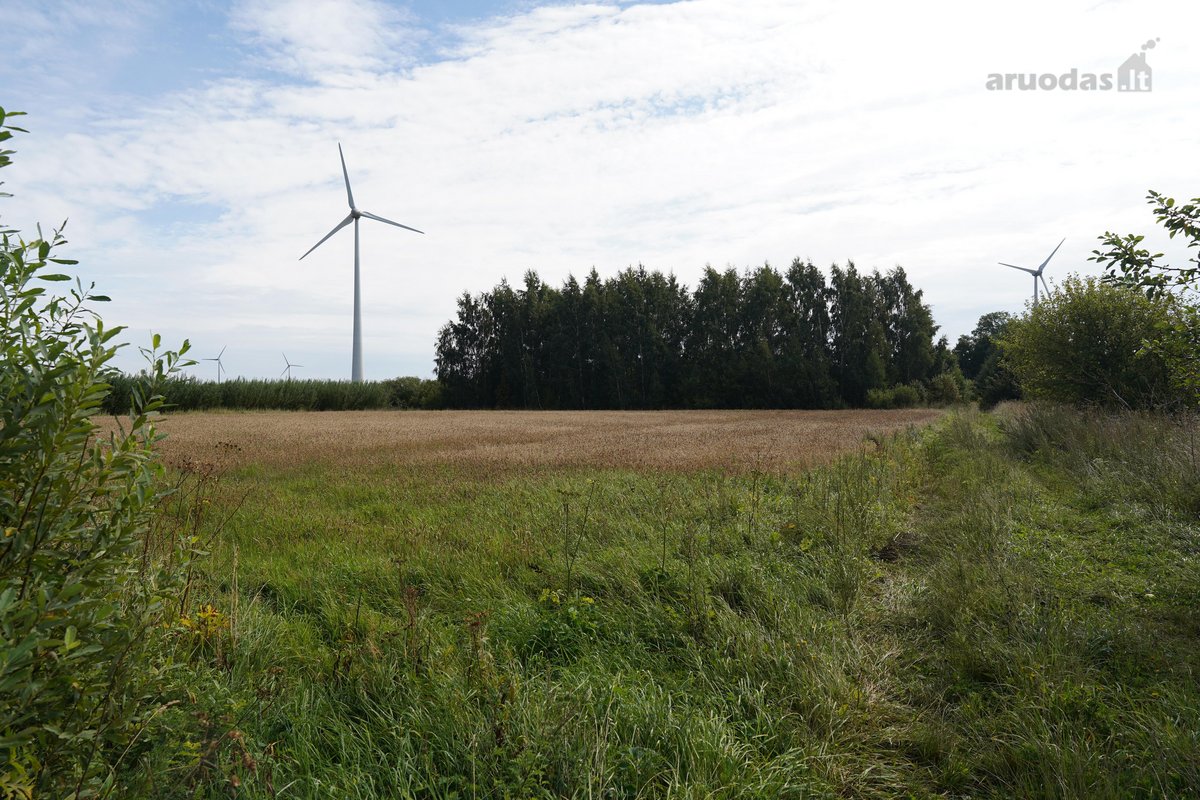 Šilutės rajone, Lankupių kaime, Žolynų g. - nuotraukos Nr. 2