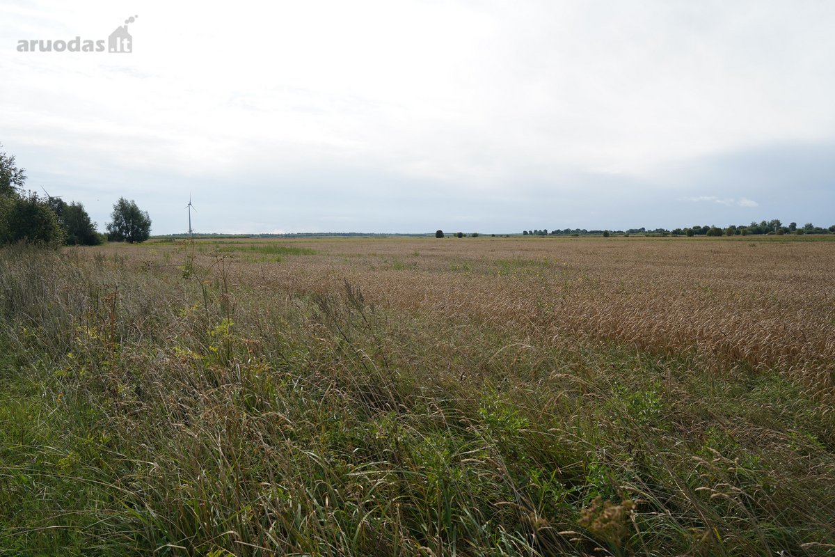 Šilutės rajone, Lankupių kaime, Žolynų g. - nuotraukos Nr. 10