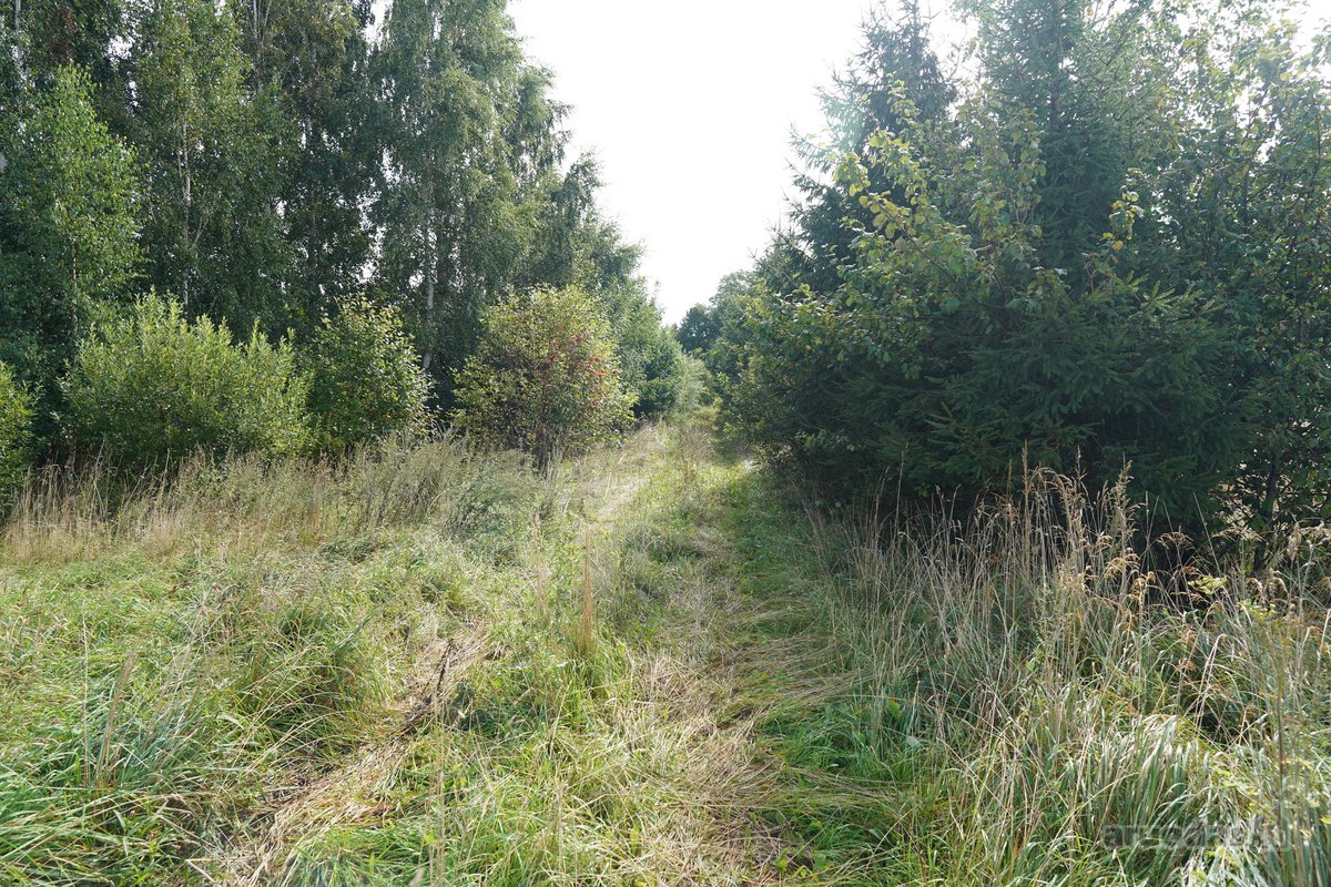 Šilutės rajone, Lankupių kaime, Žolynų g. - nuotraukos Nr. 11