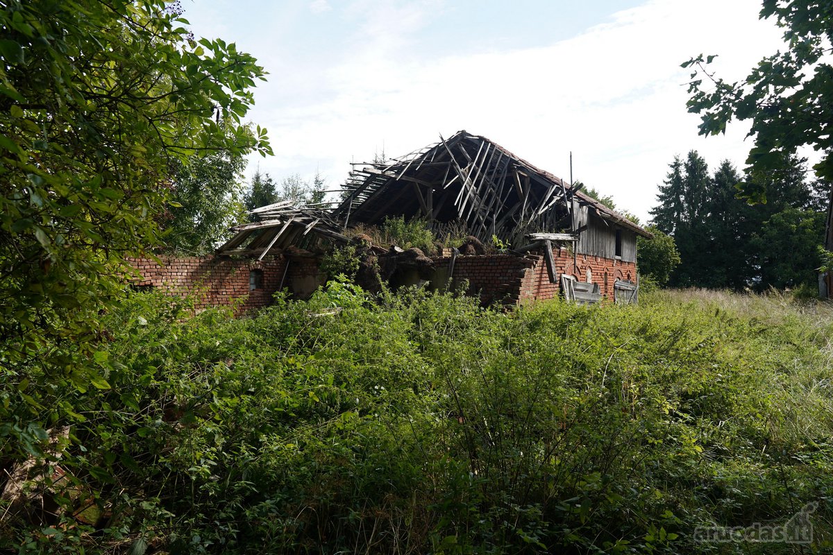 Šilutės rajone, Lankupių kaime, Žolynų g. - nuotraukos Nr. 12