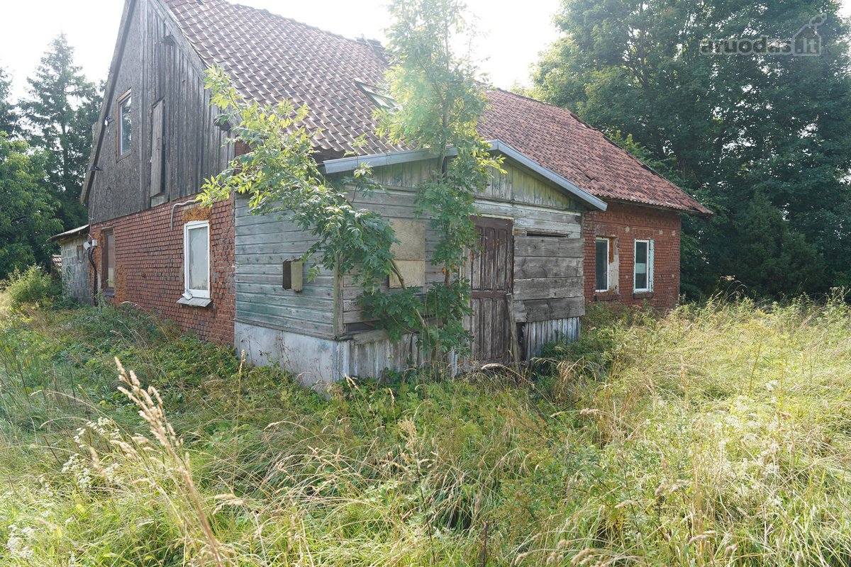 Šilutės rajone, Lankupių kaime, Žolynų g. - nuotraukos Nr. 14