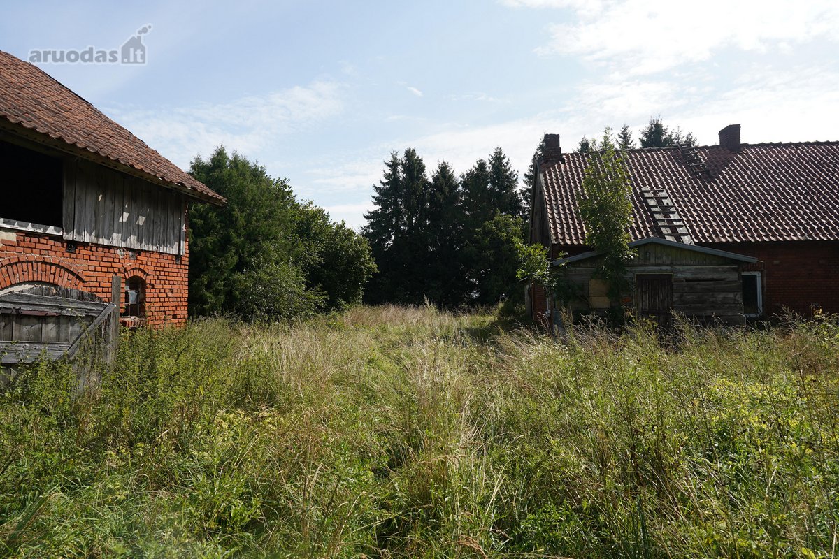 Šilutės rajone, Lankupių kaime, Žolynų g. - nuotraukos Nr. 19