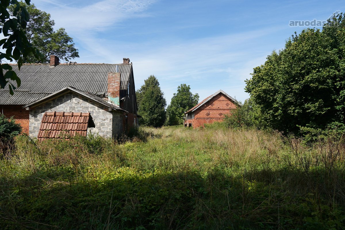 Šilutės rajone, Lankupių kaime, Žolynų g. - nuotraukos Nr. 23