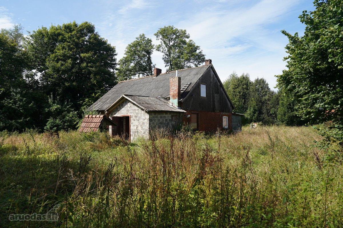 Šilutės rajone, Lankupių kaime, Žolynų g. - nuotraukos Nr. 24