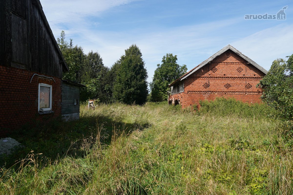 Šilutės rajone, Lankupių kaime, Žolynų g. - nuotraukos Nr. 26
