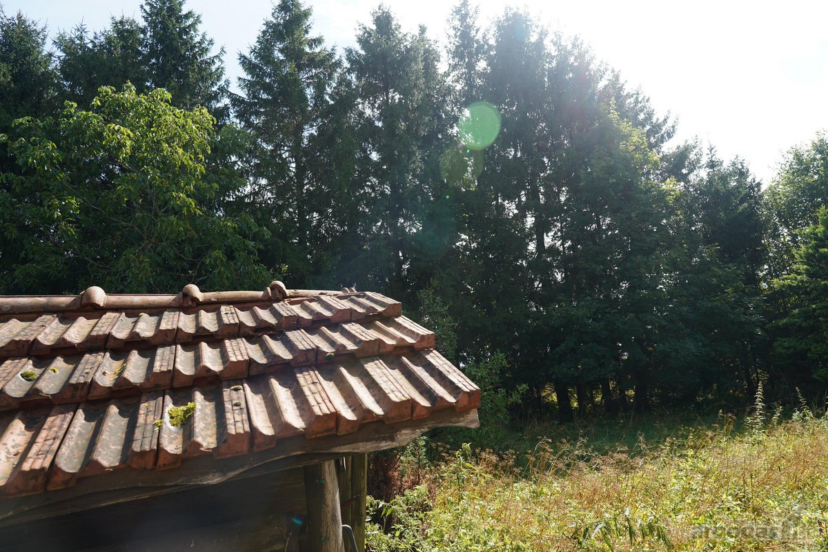 Šilutės rajone, Lankupių kaime, Žolynų g. - nuotraukos Nr. 29