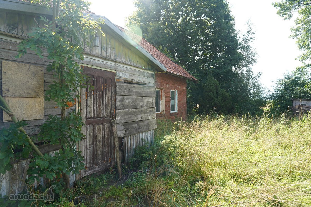 Šilutės rajone, Lankupių kaime, Žolynų g. - nuotraukos Nr. 31