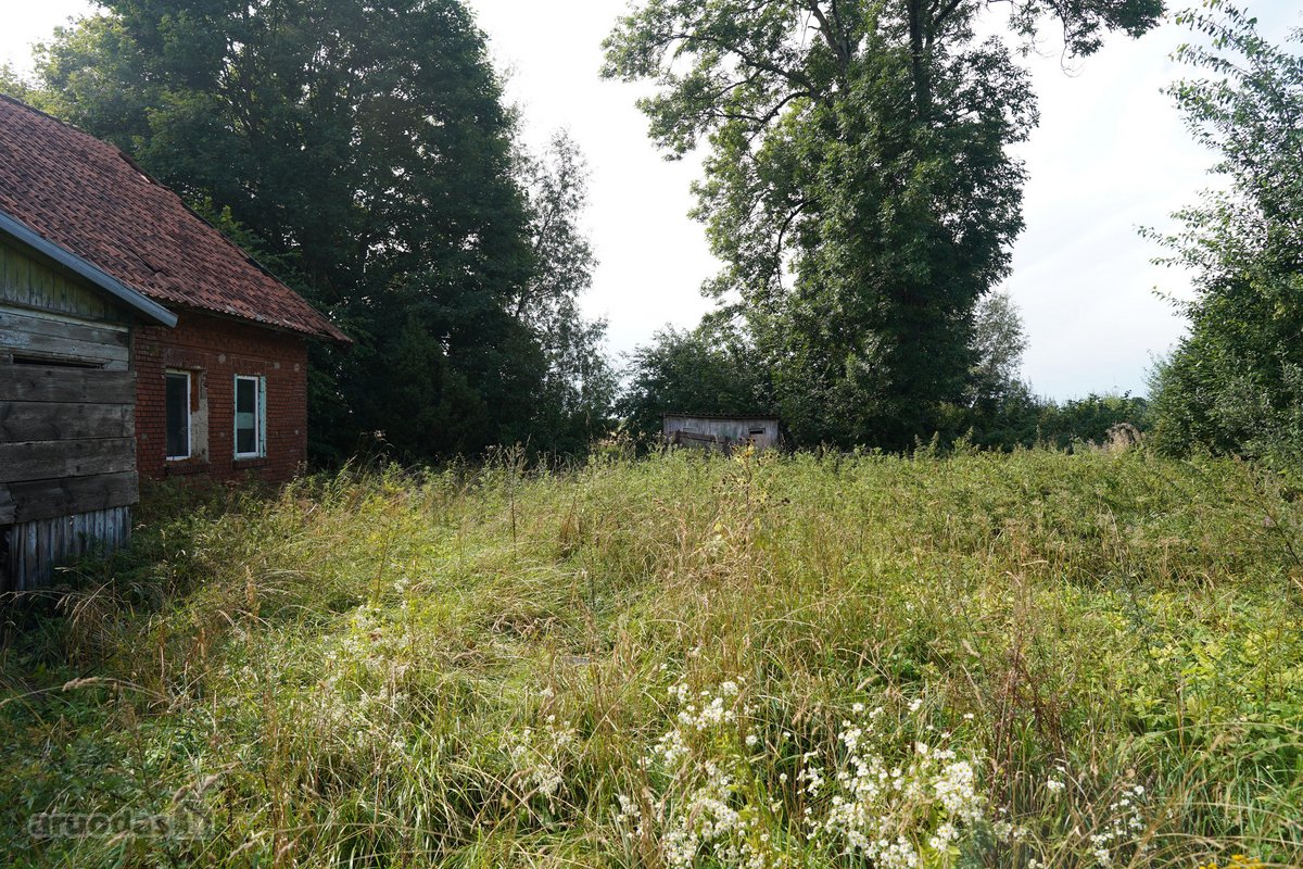 Šilutės rajone, Lankupių kaime, Žolynų g. - nuotraukos Nr. 35