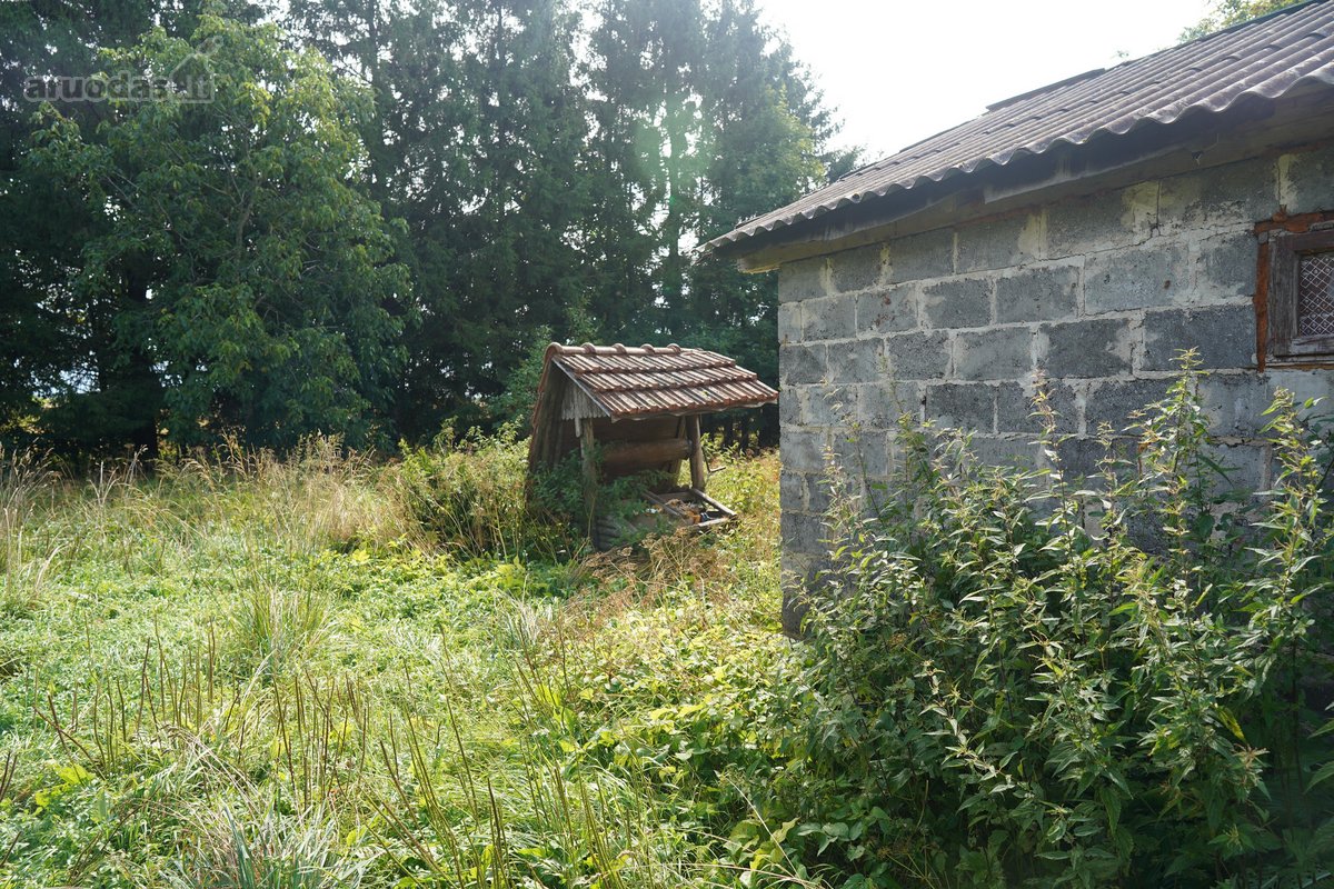 Šilutės rajone, Lankupių kaime, Žolynų g. - nuotraukos Nr. 36