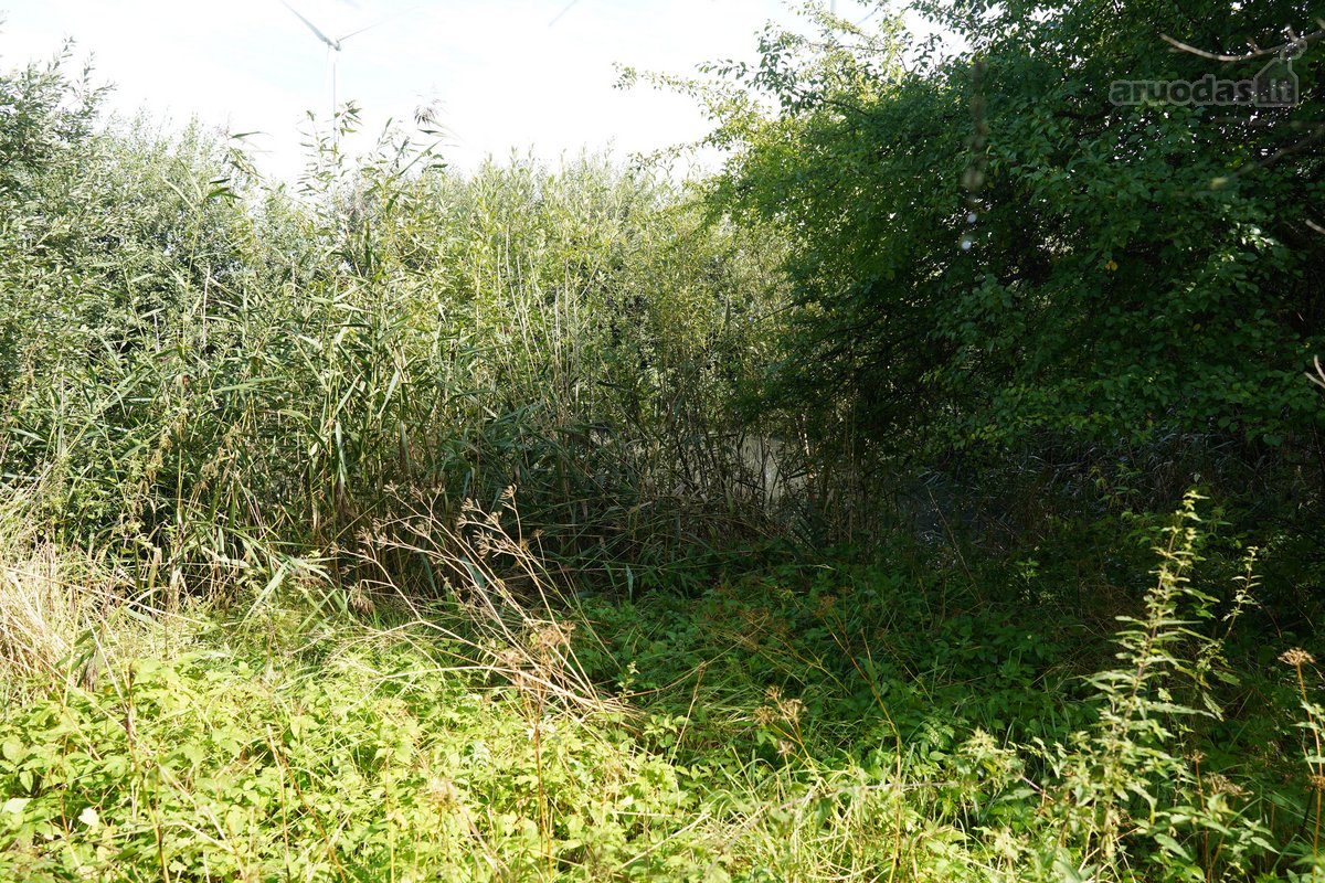 Šilutės rajone, Lankupių kaime, Žolynų g. - nuotraukos Nr. 77